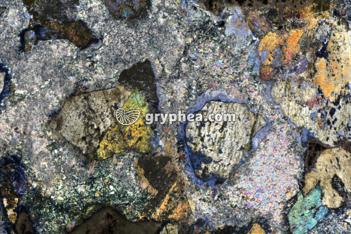 Métagabbro à Glaucophanite LPA x3,5 - gryphea.com